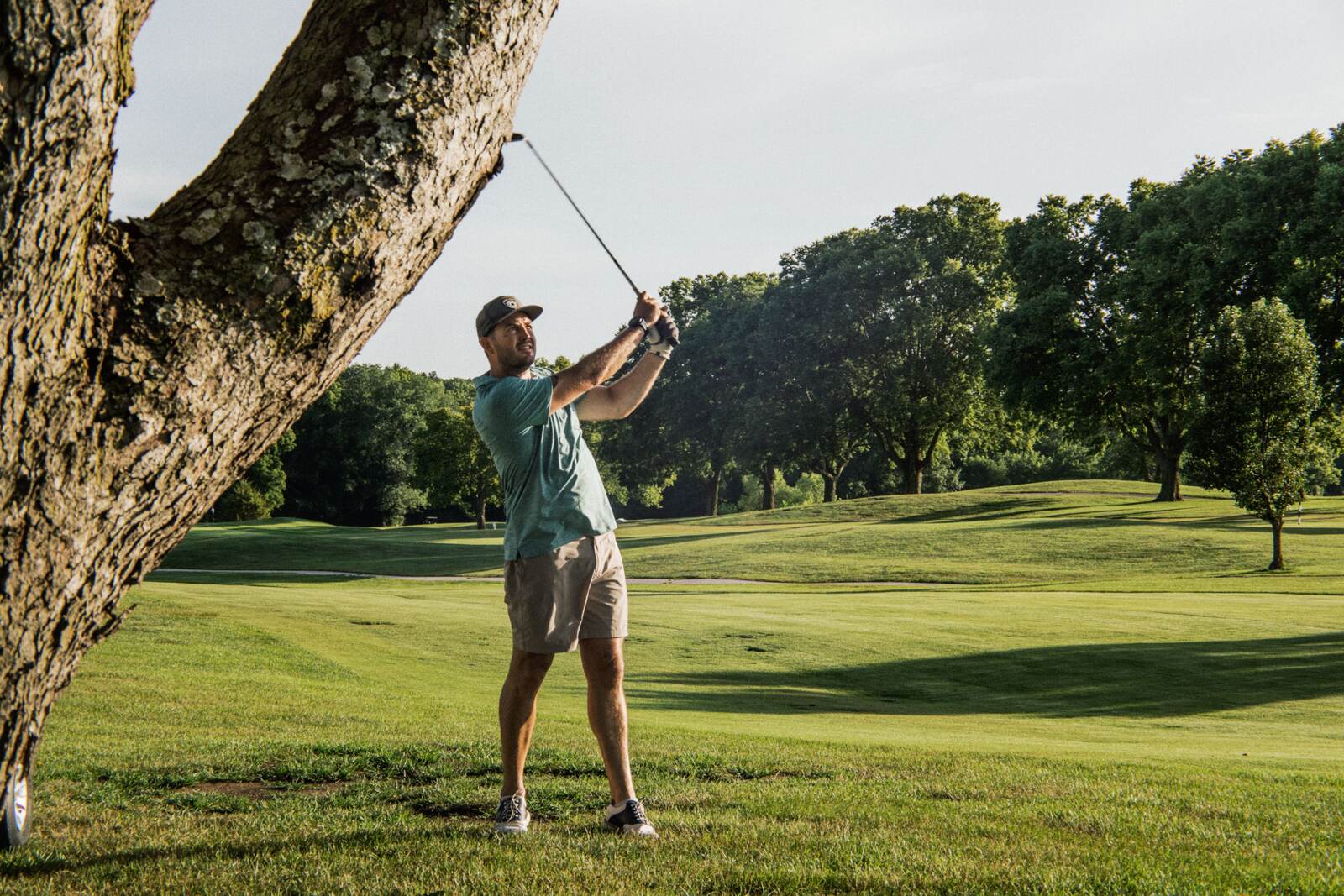 Swing framed under the branches of a big oak on the fairway